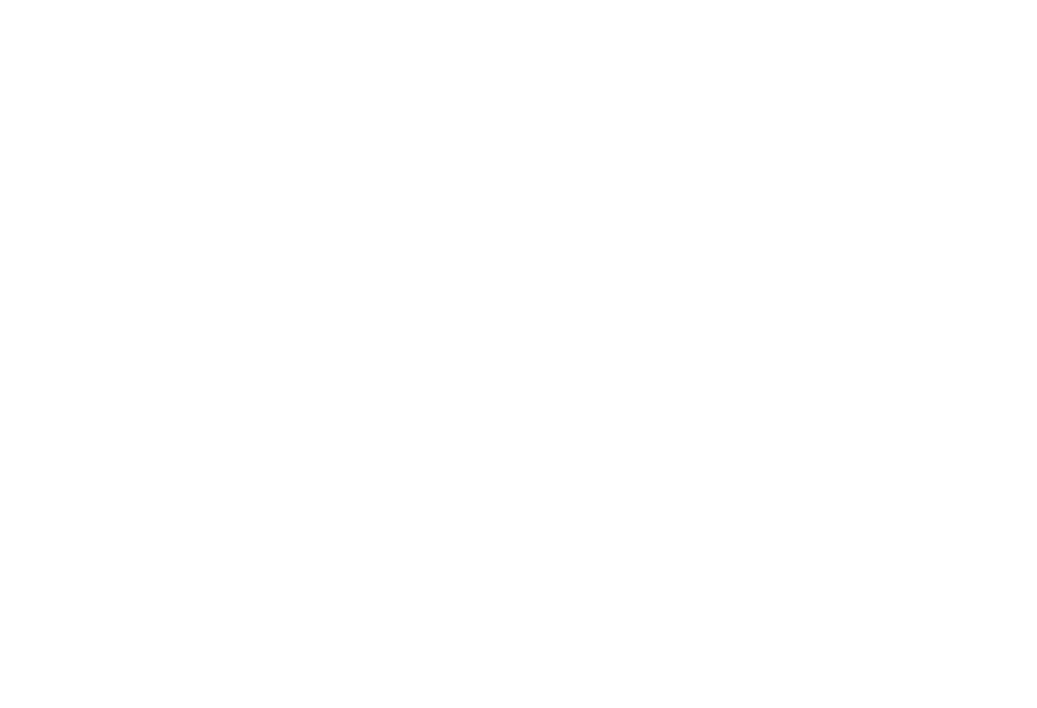 logo-sprint-solutions-vertical-inverse