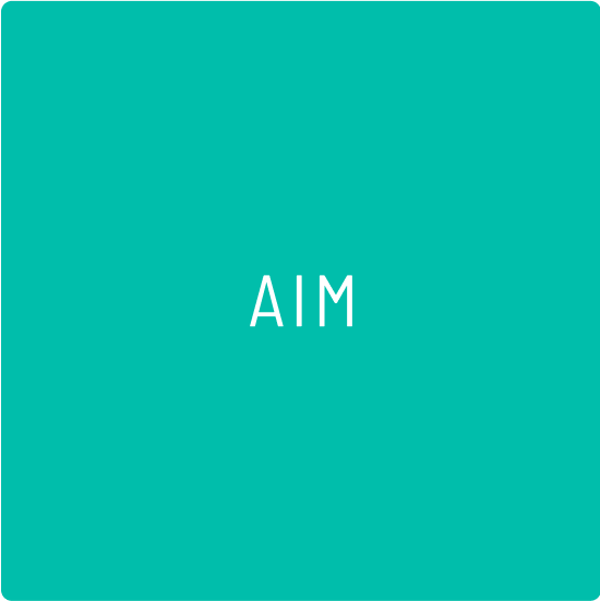 Aim social media marketing